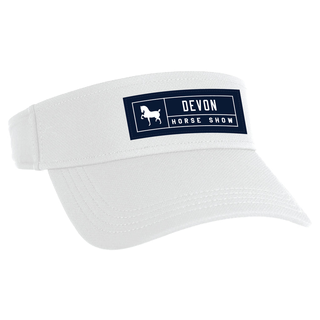 Cirrus Visor
