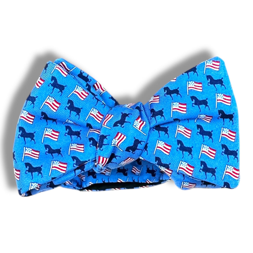 Devon Hackney/Flag Bow Tie