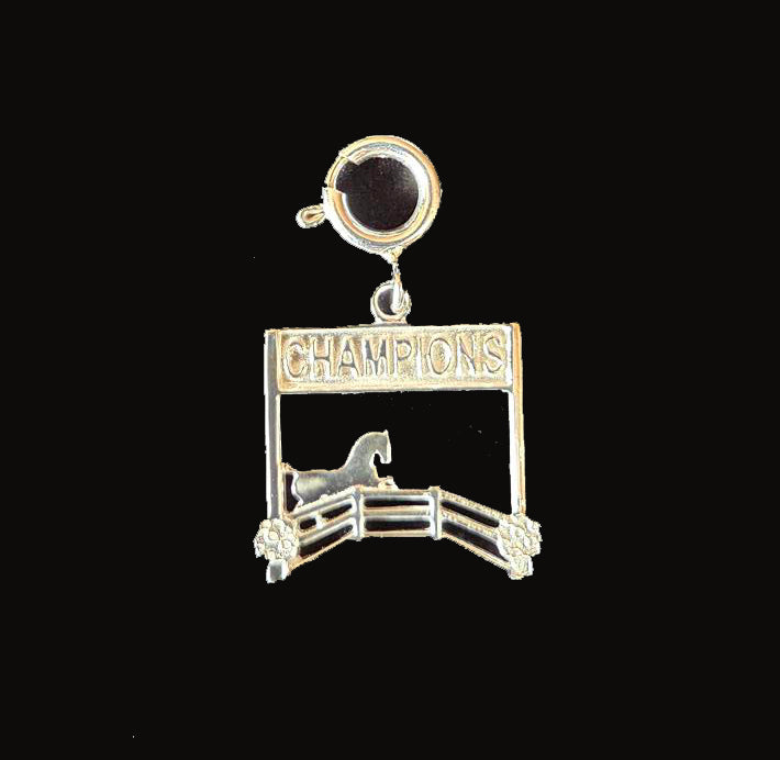 2025 Charm
